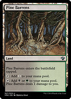 Pine Barrens