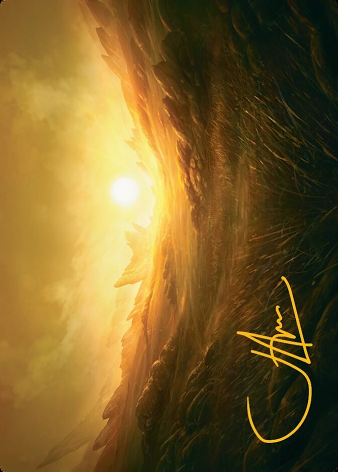 Plains // Plains