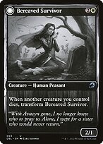 Bereaved Survivor