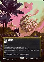 Lotus Field