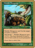 Nimble Mongoose