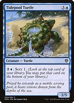 Tidepool Turtle