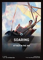 Soaring
