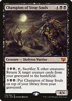Champion of Stray Souls