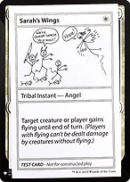 Sarah's Wings